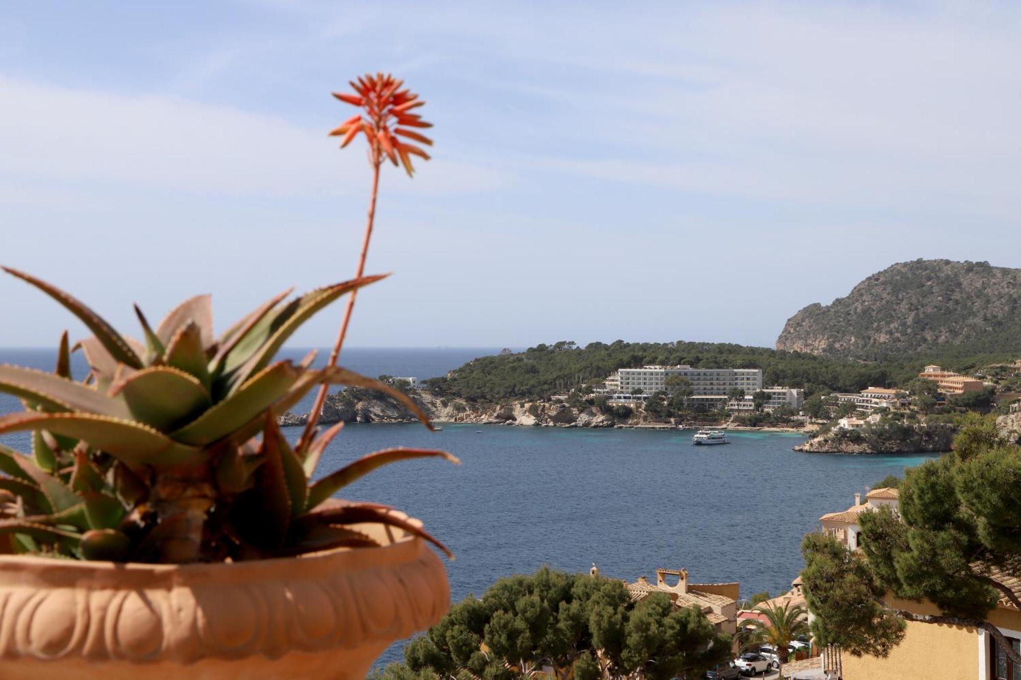 Aldea 2 Cala Fornells Daire Peguera Dış mekan fotoğraf