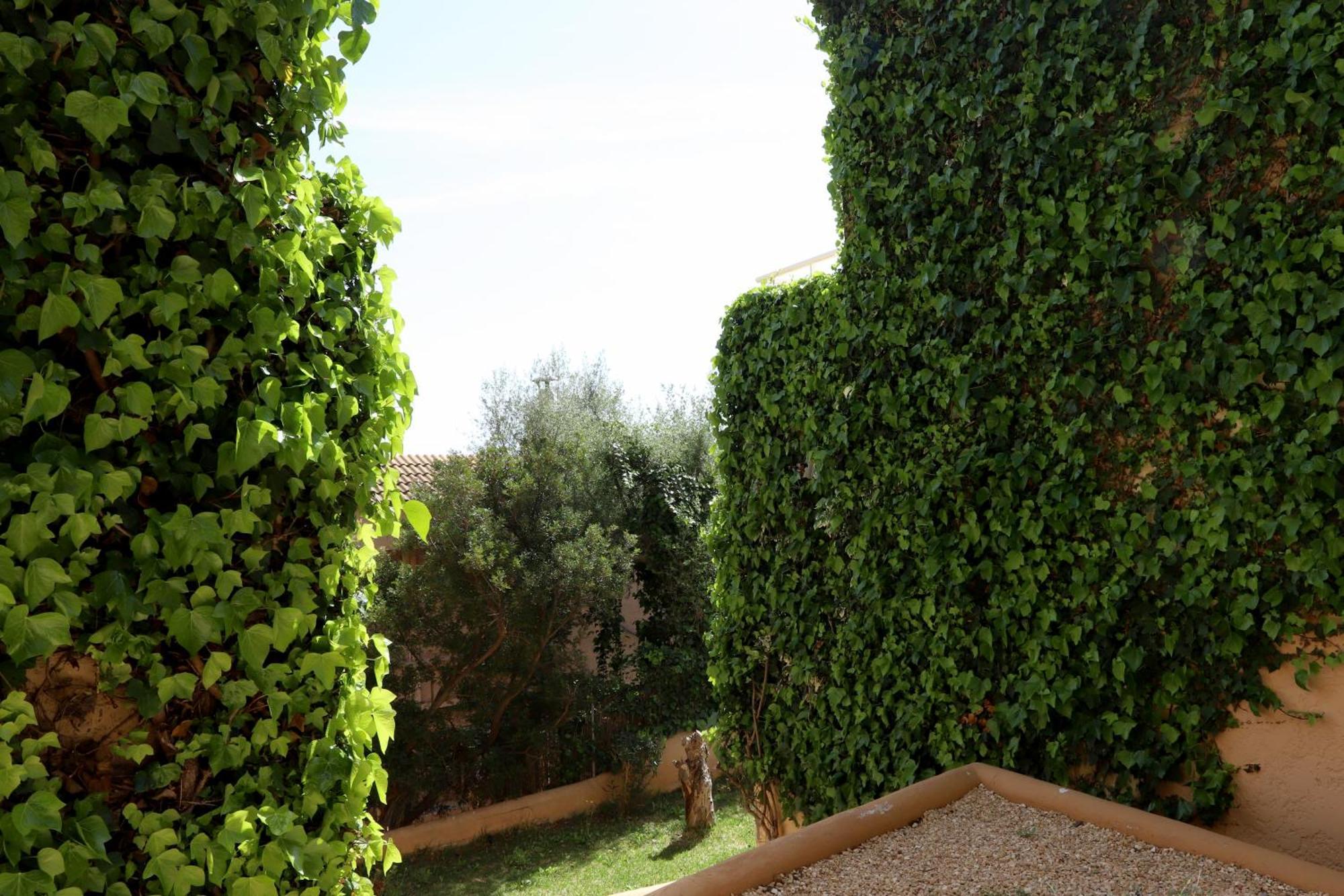 Aldea 2 Cala Fornells Daire Peguera Dış mekan fotoğraf